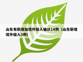 山东有新增加境外输入确诊14例（山东新增境外输入3例）
