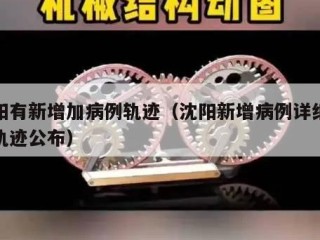 沈阳有新增加病例轨迹（沈阳新增病例详细行程轨迹公布）