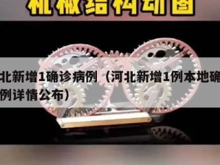 河北新增1确诊病例（河北新增1例本地确诊病例详情公布）